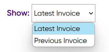 Select the invoice from the drop down